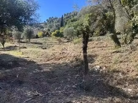 terrain à vendre à falicon : 3 500 000 € | 18876m²