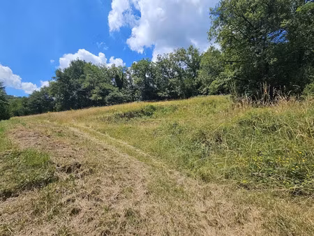 vente terrain 2115 m² à belcastel (12390)  29 500 €