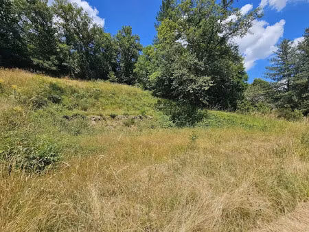 vente terrain 2335 m² à belcastel (12390)  23 000 €