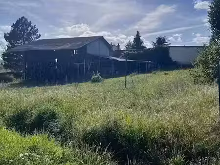 vente terrain à batir 710 m² à chisseaux (37150)  42 000 €