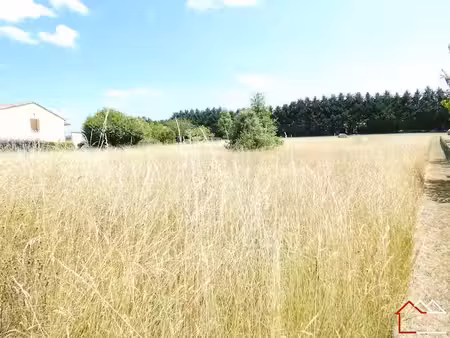 vente terrain à batir 1590 m² à tocane-saint-apre (24350)  22 000 €