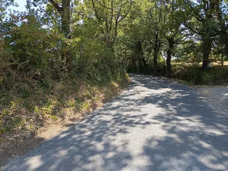 vente terrain 1264 m² à saix (81710)  69 000 €
