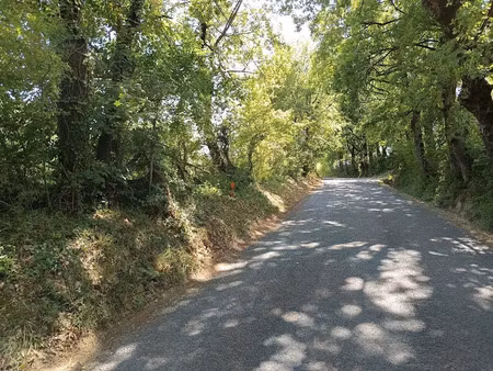 vente terrain 1582 m² à saix (81710)  69 000 €