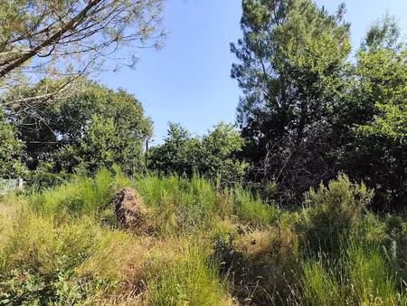 vente terrain 750 m² à vendays-montalivet (33930)  75 000 €