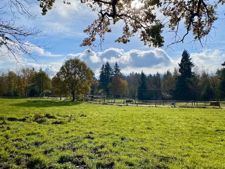 vente terrain 3800 m² à pont-de-larn (81660)  59 000 €