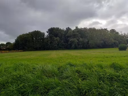 vente terrain 2900 m² à faleyras (33760)  59 000 €