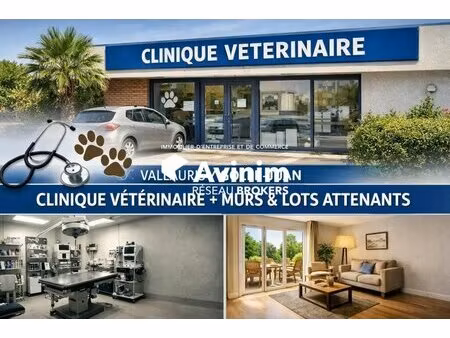 vente local d’activités vallauris 06220 537m²