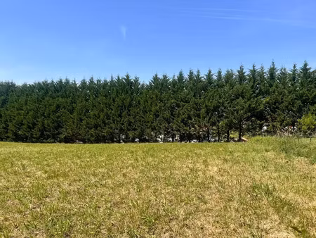 vente terrain à batir 1542 m² à guiche (64520)  95 000 €