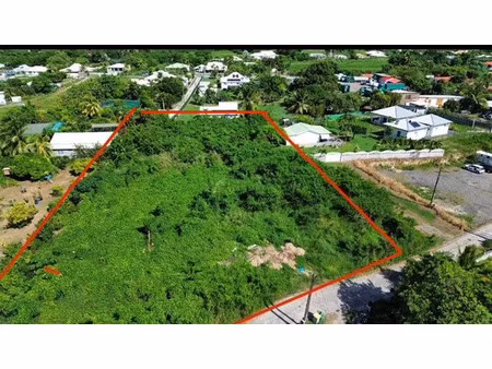 vente terrain 2935 m² le moule (97160)