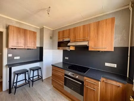 appartement t3 a louer a roanne - mulsant