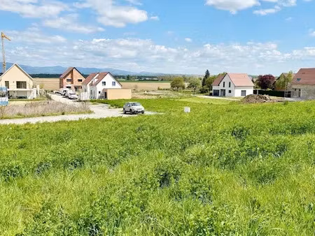 vente terrain à batir 530 m² à dietwiller (68440)  151 700 €
