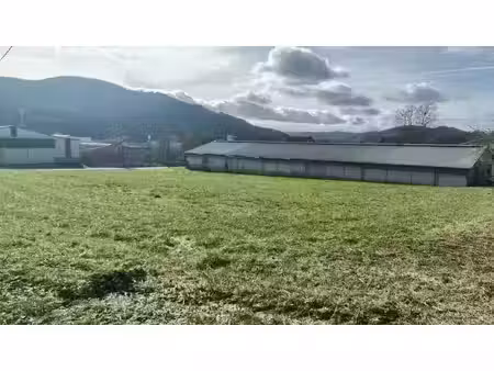 vente terrain 4838 m² à saint-affrique (12400)  195 000 €