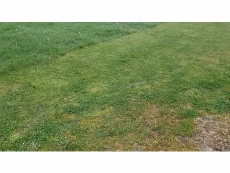 vente terrain 685 m² à saint-germain-du-puch (33750)  120 000 €