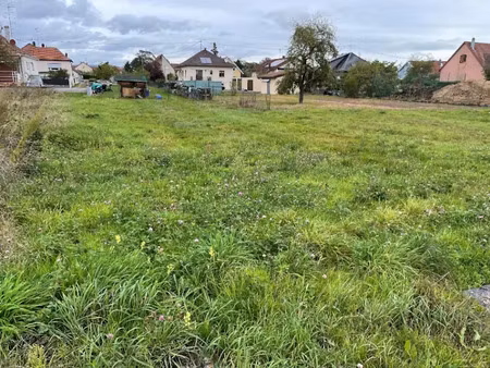 vente terrain 556 m² à issenheim (68500)  136 220 €