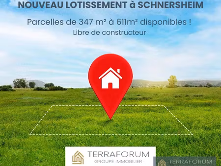vente terrain à batir à schnersheim (67370)  139 595 €