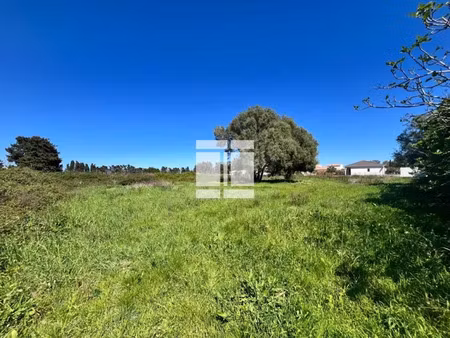 vente terrain à lucciana (20290)  285 000 €