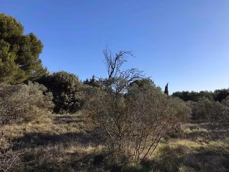 vente terrain à batir à merindol (84360)  290 000 €