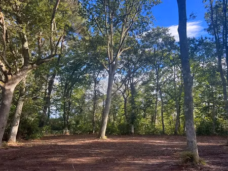 vente terrain 1049 m² à seignosse (40510)  550 000 €