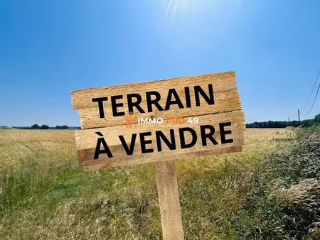 vente terrain à batir à montaigu-vendée (85600)  445 000 €