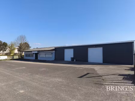 vente locaux professionnels 434 m² à phalsbourg (57370)  350 000 €