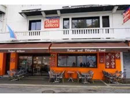 vente locaux professionnels 6 pièces 243 m² à lourdes (65100)  358 000 €