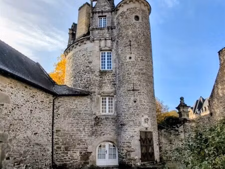 maison dans une tour médiévale 84m2 - entièrement rénovée -