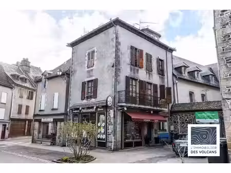vente immeuble 71 m² à pleaux (15700)  70 000 €