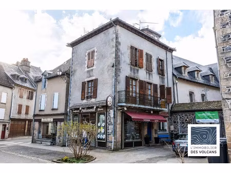 vente immeuble 71 m² à pleaux (15700)  82 000 €