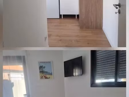 location meublée appartement 1 pièce 20 m² à argeles-sur-mer (66700)  320 €