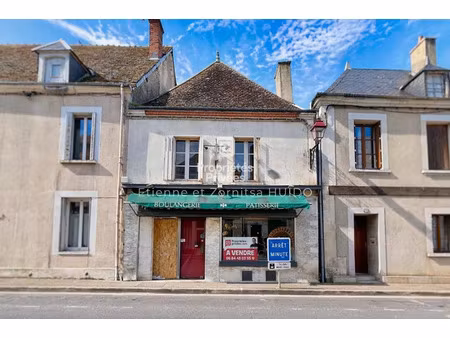 vente immeuble 223 m² vatan (36150)