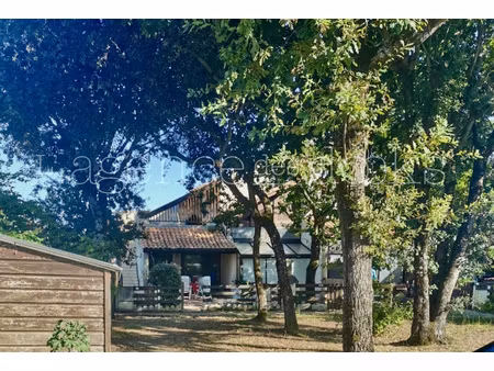 soulac-sur-mer  plage des naïdes - adorable appartement avec