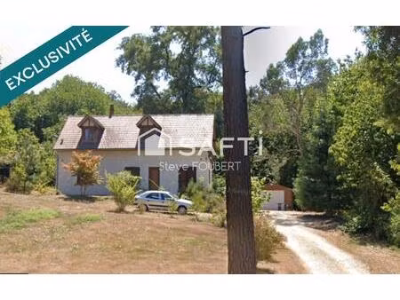 nichet au coeur des bois dans un environnement calme