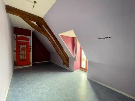 maison à vendre 6 pièces sancoins (18)