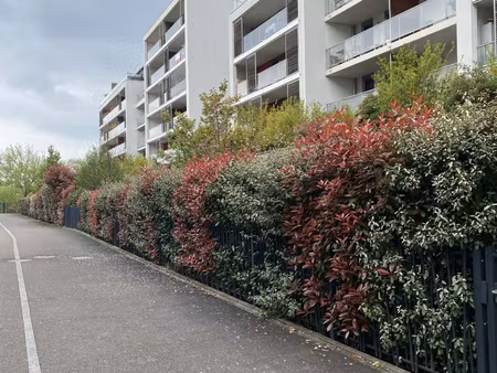 appartement lumineux 3 chambres avec balcon à bischheim