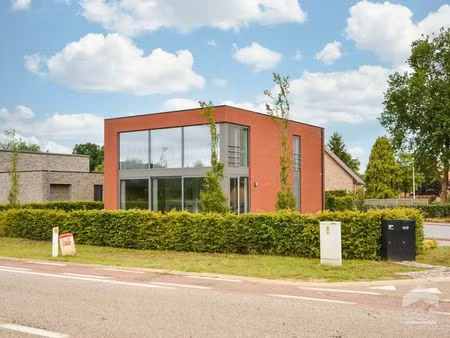 appartement à louer à tessenderlo € 990 (lnggg) - claes julie | zimmo