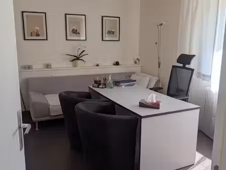 local professionnel à louer sur riedisheim