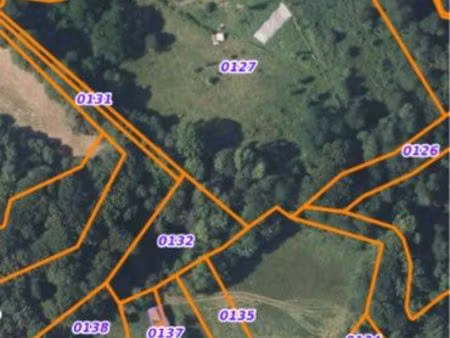 terrain permaculture