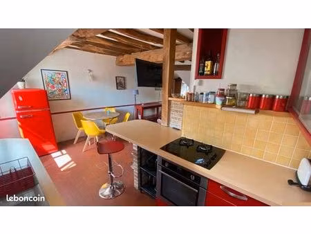 meublé t2 bis 60 m2 au sol / idéal mobilité