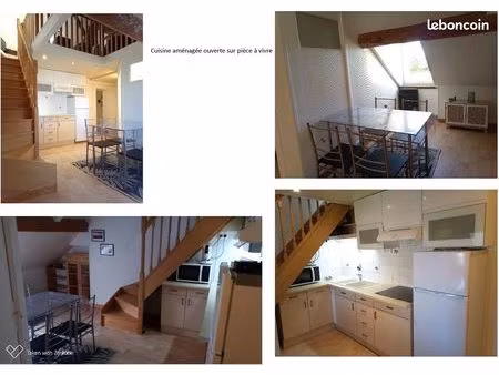 t2 duplex avec beaucoup de charme