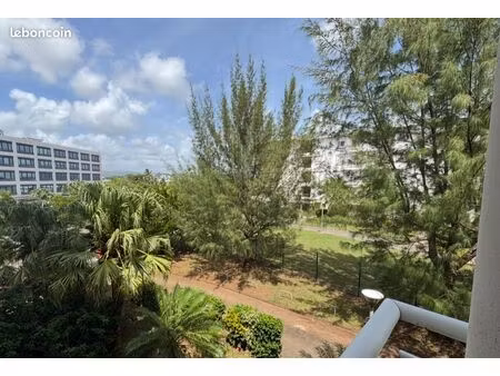 superbe appart t3 - etang z'abricot