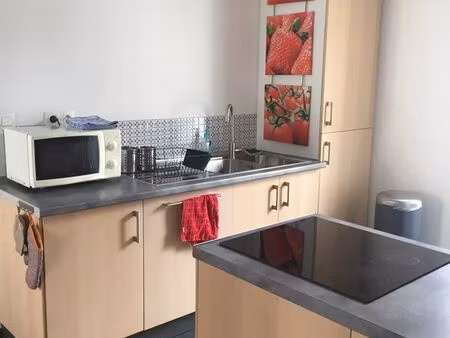 bel appartement meublé grenoble europole