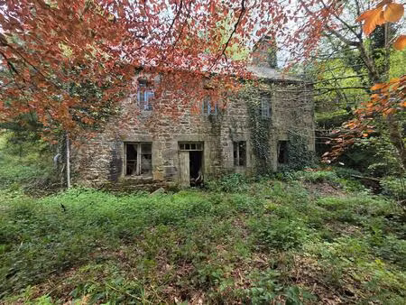 ancien moulin - 35000m² de terrain