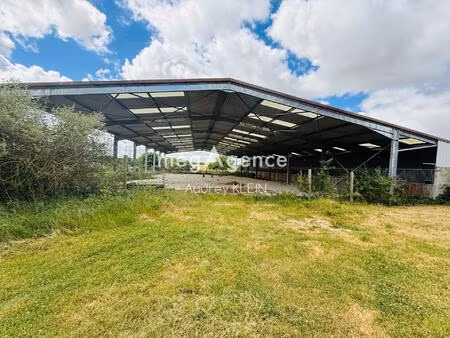 belle propriété au calme avec terrain  piscine et box équestre