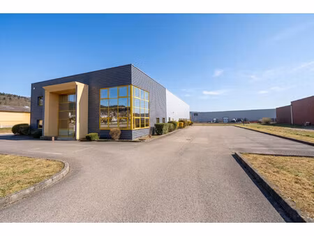 immobilier professionnel à louer mâcon