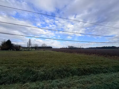 parcelles de vignes de plus de 10 hectares
