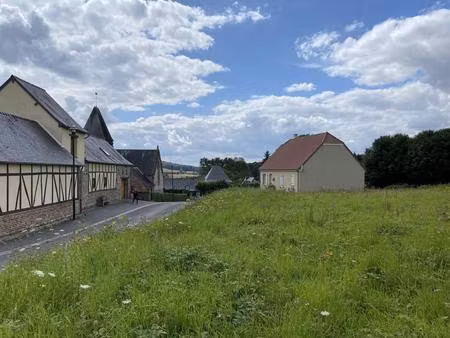 terrain constructible