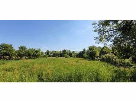 terrain de 3 249 m² à albias