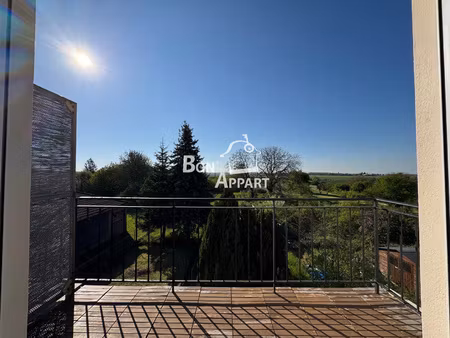 appartement 60 m2 renovee lumineux 2 chambres avec garage