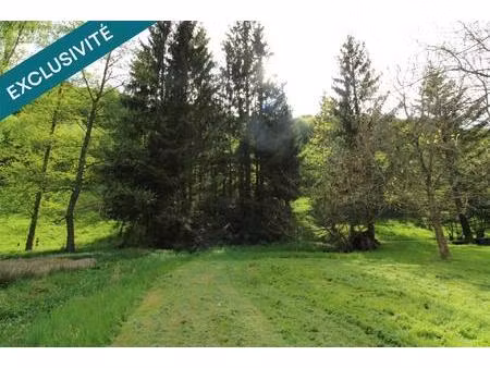 terrain 4 53 ares dont 3 ares constructibles