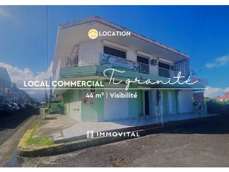 local commercial à louer - 44 m2 idéal pour professionnels